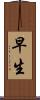 早生 Scroll