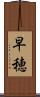 早穂 Scroll
