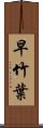 早竹葉 Scroll
