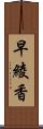 早綾香 Scroll