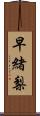 早緒梨 Scroll