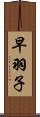 早羽子 Scroll