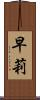 早莉 Scroll