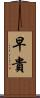早貴 Scroll