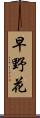 早野花 Scroll