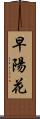 早陽花 Scroll