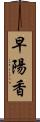 早陽香 Scroll