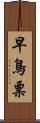 早鳥票 Scroll