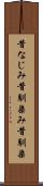 昔なじみ Scroll