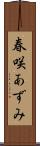 春咲あずみ Scroll