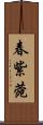 春紫菀 Scroll