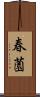 春薗 Scroll
