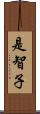是智子 Scroll