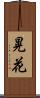 晃花 Scroll