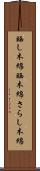 晒し木綿 Scroll