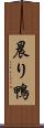晨り鴨 Scroll