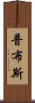 普布斯 Scroll