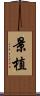 景植 Scroll