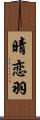 晴恋羽 Scroll