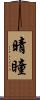 晴瞳 Scroll