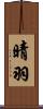 晴羽 Scroll