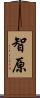 智原 Scroll