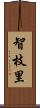智枝里 Scroll