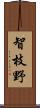 智枝野 Scroll