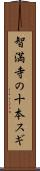 智満寺の十本スギ Scroll