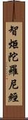 智炬陀羅尼經 Scroll
