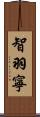 智羽寧 Scroll