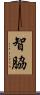 智脇 Scroll