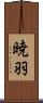 暁羽 Scroll
