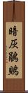 暗灰鵑鵙 Scroll