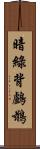 暗綠背鸕鶿 Scroll