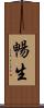 暢生 Scroll