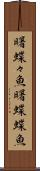 曙蝶々魚 Scroll