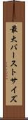 最大バーストサイズ Scroll