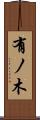 有ノ木 Scroll