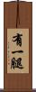 有一腿 Scroll