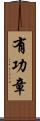有功章 Scroll