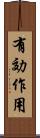 有効作用 Scroll
