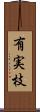 有実枝 Scroll
