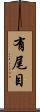 有尾目 Scroll