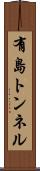 有島トンネル Scroll
