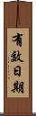 有效日期 Scroll