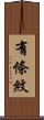 有條紋 Scroll