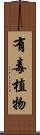 有毒植物 Scroll