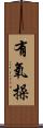 有氧操 Scroll