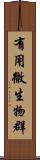 有用微生物群 Scroll